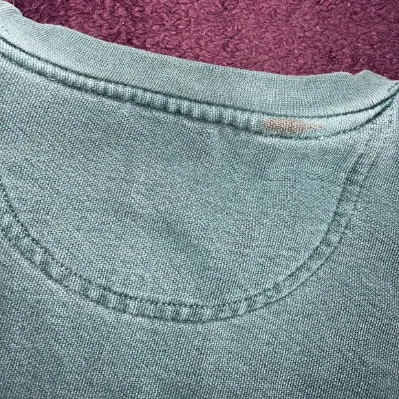 Comfort Colors Alpha Xi Delta (AXiD) crewneck - Picture 9 of 9